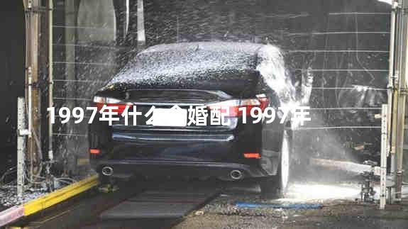 1997年什么命婚配 1997年8月属牛的是什么命